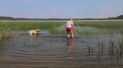 Joy of having a dog and playing with it. Stock Footage 49399704