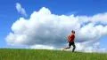 Joy of life HD Footage