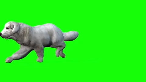 Joy in Motion: 3D Animation of a Running Dog 스톡 동영상 288324696