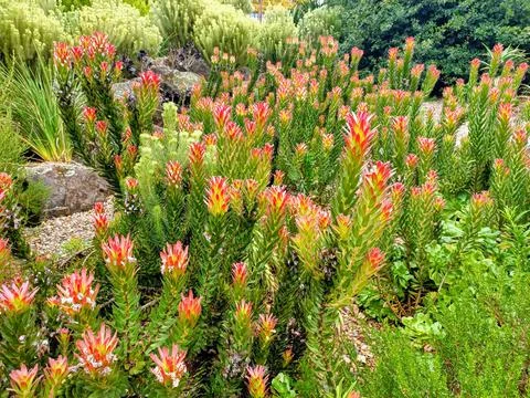 Joy of nature Stock Photos