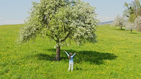 The joy of the revived blossoming nature. Stock Footage 129456097