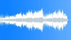 Joy (Solo Piano Music / Instrumental / Acoustic)Stock Music