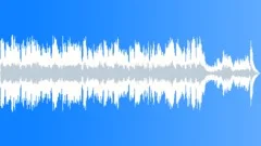 Joy to the world 30 secs Stock Music