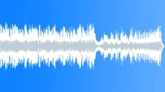 Joy to the world 40 secs Stock Music