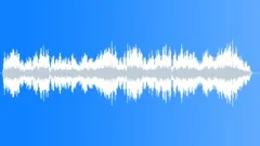 Joy To The World (choir) Stock Music