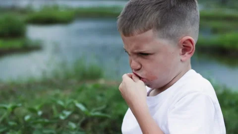 Joyful boy enjoys slice of pizza during delightful picnic by serene lakeside. Stock Footage 288831194