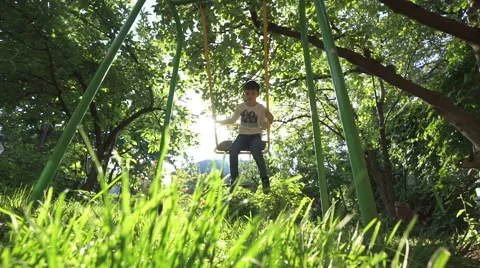 The Joyful Boy on the Swing in the Garden Video stock 62911309