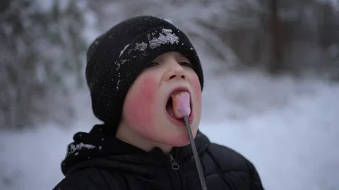 Joyful child eats marshmallow during picnic in winter forest. Concept of winter Stock Footage 263653266