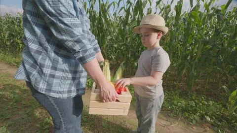 A joyful child exuberantly enjoying an array of fresh produce at the farm with f Stock Photos