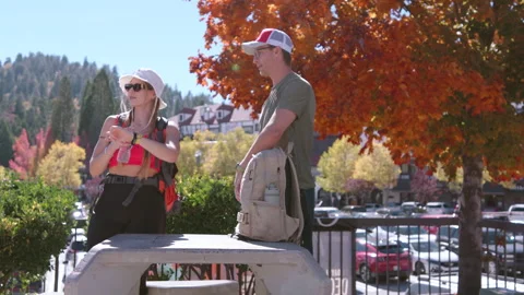 Joyful Couple deciding which way to go, talking about hiking path on a fall day Stock Footage 262031222