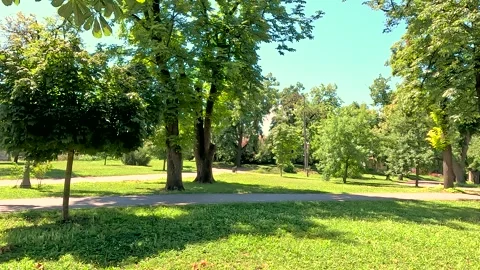 A Joyful Day Walking In The Park Forest Background Stock Footage 339978199