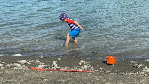 Joyful Discovery: Young Boy Explores Waters with a Bucket and Shovel Stock Footage 310654807