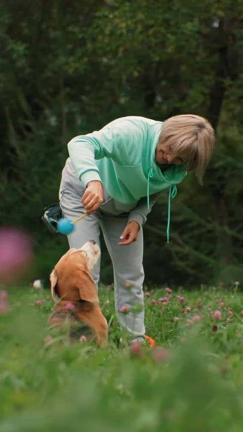 Joyful leap during pet training, Woman encourages dog with treat in meadow Stock Footage 323712560