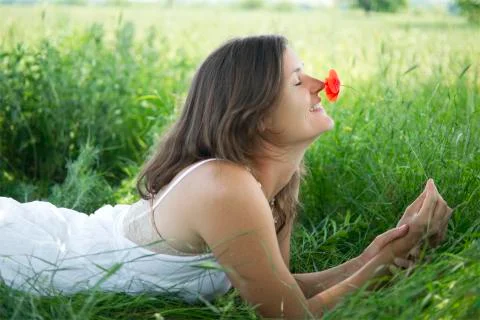 Joyful meadow Stock Photos