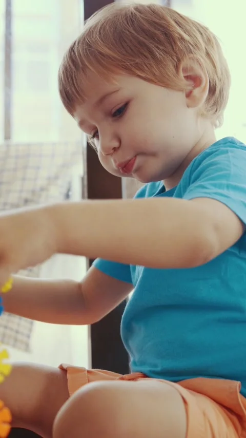 A Joyful Playtime with an Array of Toys Stock-Footage 330576197