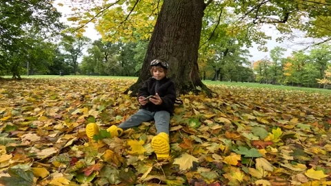 Joyful Time: Boy Sits by a Tree, Playing Happily on a Mobile Phone 4k Leaves Stock Footage 254081527
