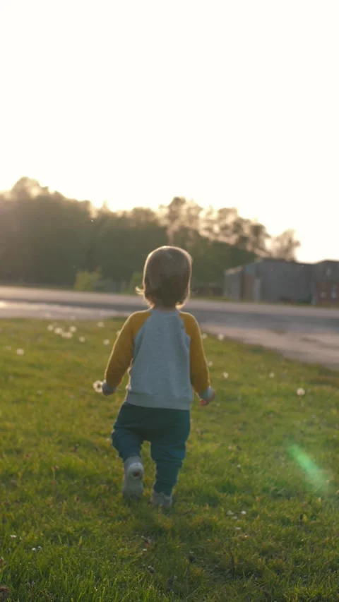 A joyful toddler walking through a sunlit, vibrant meadow Stock Footage 315536685