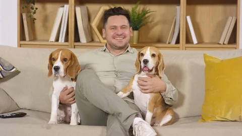 Joyous Mid-Aged Man Sitting on Sofa with Two Adorable Beagle Dogs Stock Footage 119760747