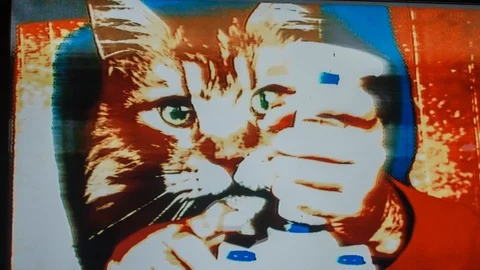 Joystick controller computer game arcade gaming cat kitten Stock Footage 89499655