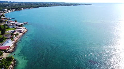 Joyudas Stock Footage 144158595