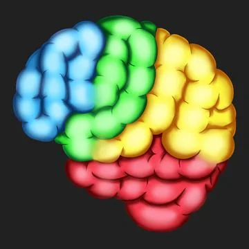 JPEG Brain 2 Stock Illustration