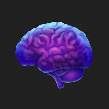 JPEG Brain Stock Illustration