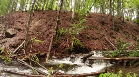 Jraging forest waterfall in the mountains, covered with windbreak Stock Footage 43939644