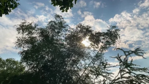 JRBJ0936 Stock Footage 171275773