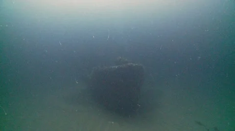 J.t bow 3 Video stock 12552636