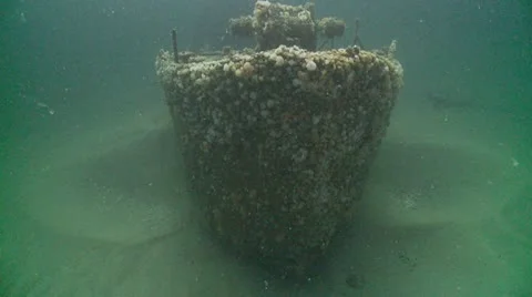 J.T bow 3 Video stock 12555082