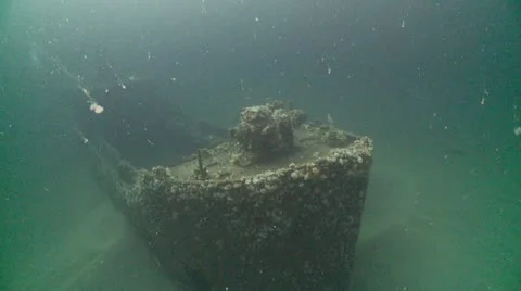 J.T bow Stock Footage 12555168