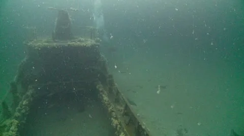 J.T mid ship divers Video stock 12554489