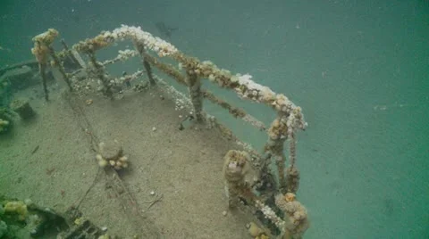 J.T top deck 2 Video stock 12560414