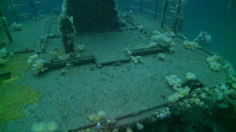 J.T top deck 2 Stock Footage 12560470