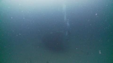 J.T wreck divers bow Stock Footage 12552930