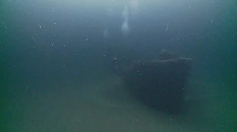 J.T wreck divers Video stock 12552880