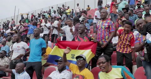 Jubilant fans wave flags during a football match. Stock Footage 211881981