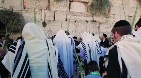 Judea in praying Stock Footage 59611755