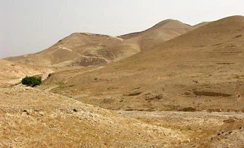 Judean desert Stock Photos
