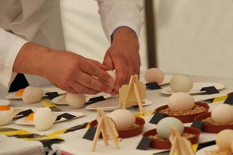Judging of Eggs. Stock Photos
