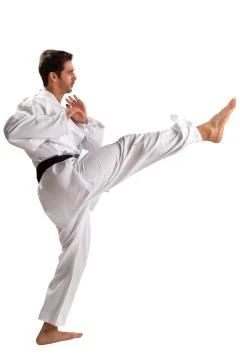 Judo fighter from different countries Stock Photos