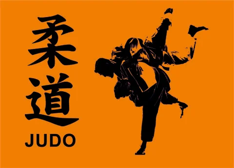 Judo Stock Illustration