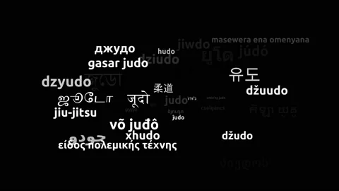 Judo Translated in 41 Worldwide Languages Endless Looping 3d Zooming Wordclou Vídeos de archivo 145214875
