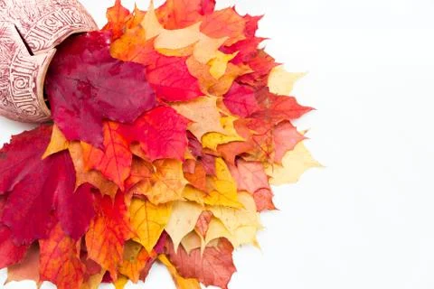 Jug with different leaves Stock Photos