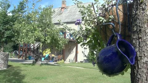 Jug on the tree Stock Footage 11883504