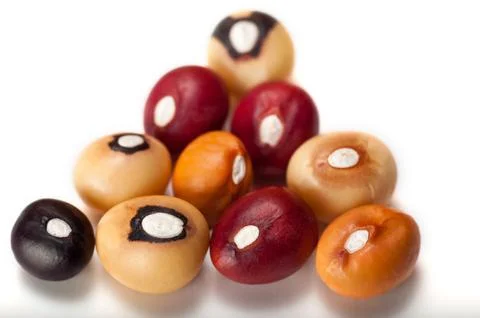 Jugo Beans Stock Photos