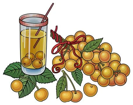 Juice, berries, cherries hand drawn illustration Stock Illustration