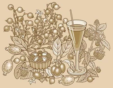 Juice, berries, sweets hand drawn illustration Stock Illustration