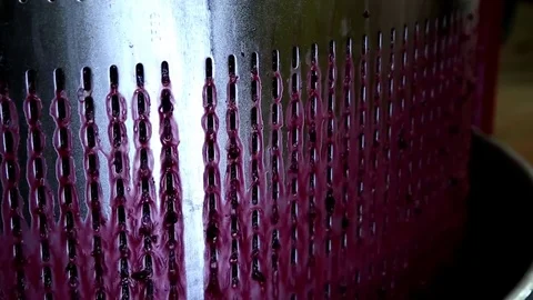 Juice of press of grapes Stock Footage 74663067