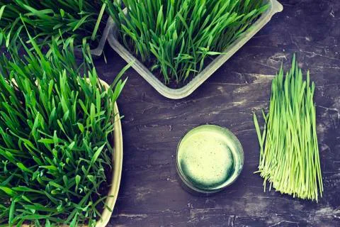 Juice from wheat grass Stock Photos